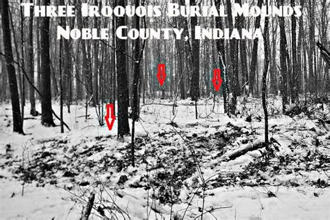 Adena Hopewell Mound Builders In The Ohio Valley Rare Charnel House