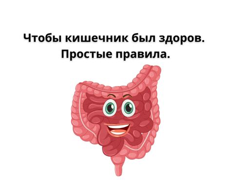 Чтобы кишечник был здоров. Простые правила. | Диетолог Александра ...