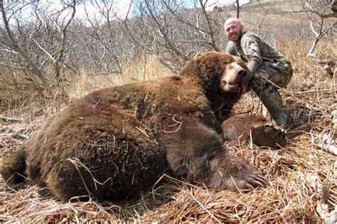 Kodiak Brown Bear Hunting Pictures Kodiak Bear Hunting Guide