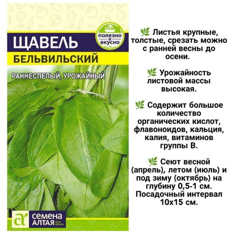 Семена Алтая, ЗЕЛЕНЬ ЩАВЕЛЬ БЕЛЬВИЛЬСКИЙ, 2 пакетика – купить с ...