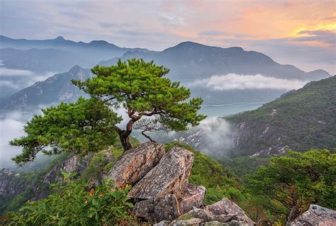 Asia Corea Del Sur Naturaleza árboles Montañas Rocas Paisaje