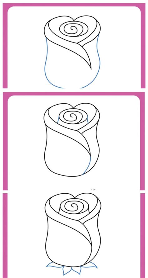 Rose Drawing Tutorial Step By Step