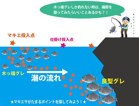 和歌山1091磯釣りモンスター｜和歌山の釣り・グレ釣り ページ 19 和歌山県中紀～南紀でフカセ釣り！グレ釣り！紀州釣り！タマミコロ