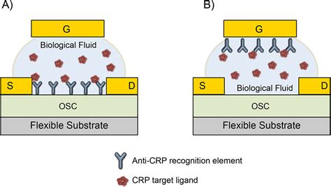 Ultrasensitive printable biosensors for point-of-care applications ...