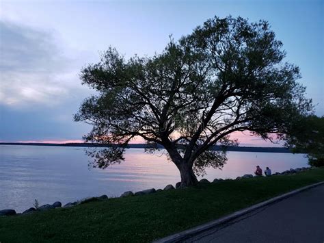 Sunset Behind A Big Tree At Clear Lake Riding Mountain National Park