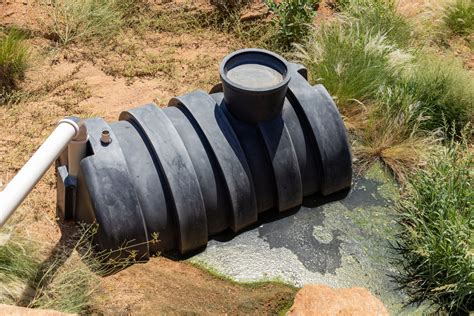 Signs Of Septic System Failure | High Priority Plumbing And Services, Inc