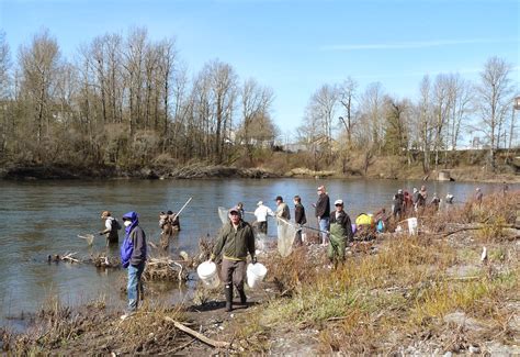 Oregon Smelt Fishing 2025 Rebecca N Kristensen
