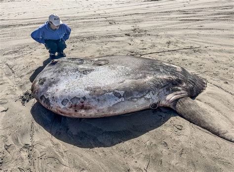 Best Hug Point Images On Pholder Earth Porn Flamepoints And Pointlesslygendered