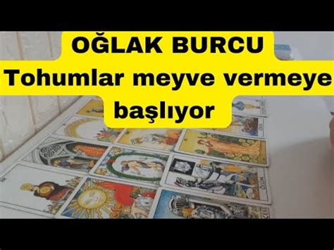 OĞLAK Burcu 10 16 Nisan Tarot Yorumu Tohumlar meyve vermeye başlıyor