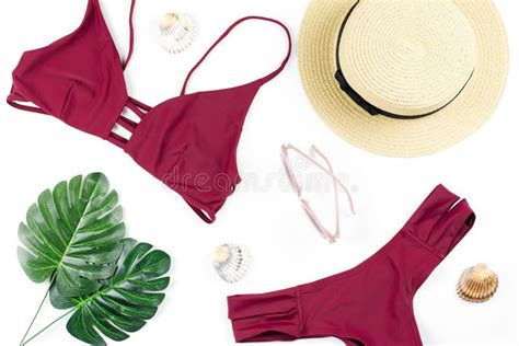 Fondo De Las Vacaciones De Verano Concepto Tropical Del Verano Con El Bikini Las Hojas Y Las