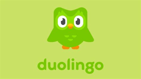 duolingo logo   change  duolingo app icon