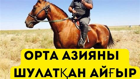 ТУМАРДЫҢ БАЛАЛАРЫ САТЫЛУДА!!!!!!!!!!!!😱😱😱😱😱😱 - YouTube