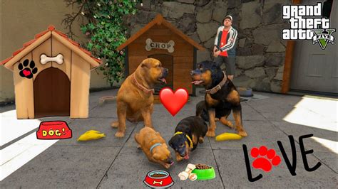 Gta 5 Chop Dog