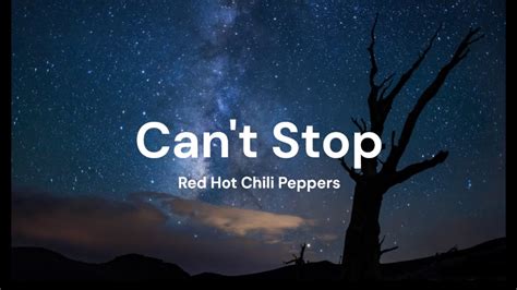 Can T Stop Red Hot Chili Peppers Lyrics YouTube