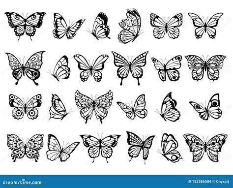 Betterfly Drawing How To Draw A Butterfly A Step By Step Guide Draw