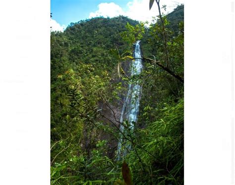 La Majestuosa Catarata Velo De Plata Se Descubre En Medio De La