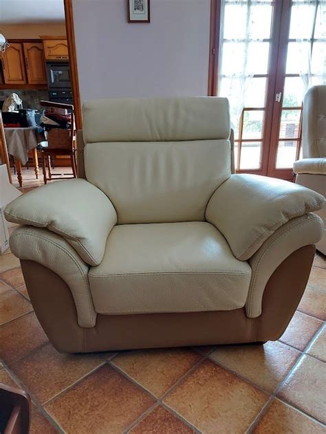 Achetez Fauteuil Cuir Quasi Neuf Annonce Vente Tr Pagny