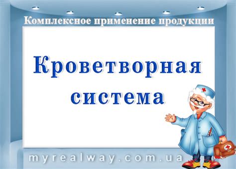 Кроветворная система