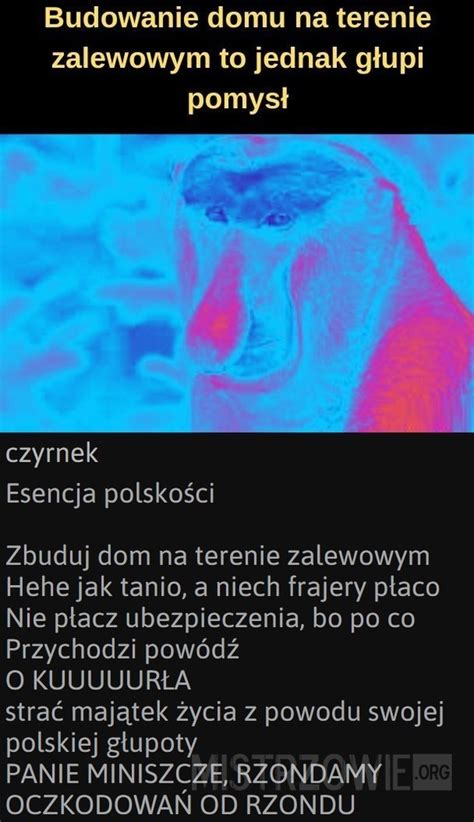 Mistrzowie Internetu Dwa Lata Wi Zienia Za Memy Z Papie Em Joe Monster