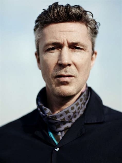 Aidan Gillen Celebnetworth