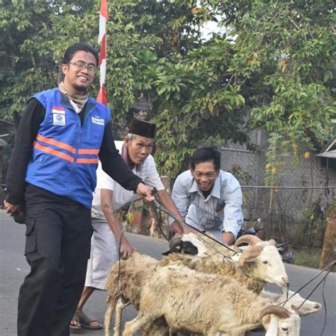 Salurkan Kurban Ke Pelosok Negeri Inilah Perjuangan DT Peduli Pondok