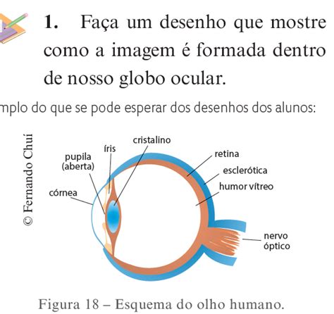 Esquema Do Olho Humano E Suas Partes Principais Sobre Os Olhos