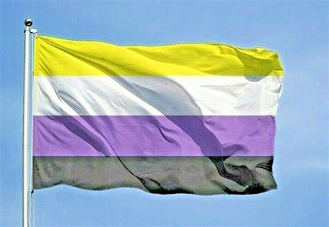 Non Binary Flag 3 X 5 Pride Flag Non Binary Pride Etsy