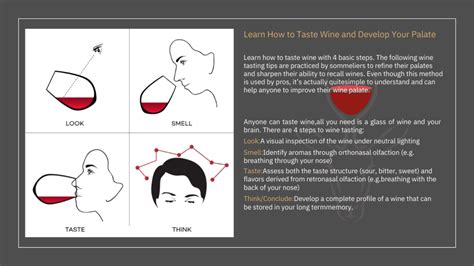 seduction   senses  wine tasting perold wine cellar