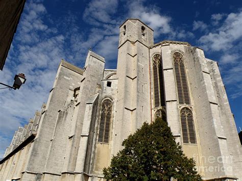 Basilica Of Saint Mary Madalene Back View Photograph By Lainie Wrightson