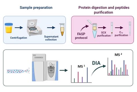 Proteomic Profile Of EPS Urine Through FASP Digestion And Data