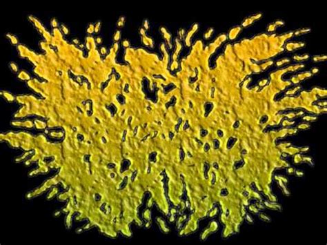 Fecal Terror Anal Satisfaction YouTube