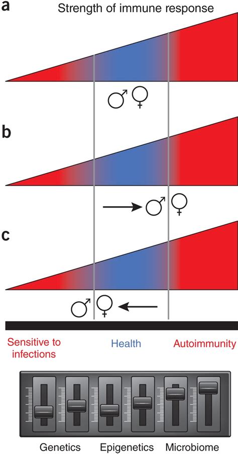 Is Sex Bias Orchestrated In The Skin Nature Immunology