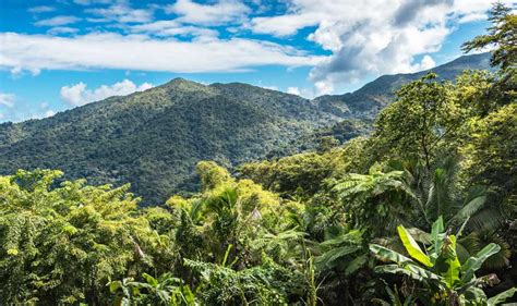 Puerto Rican Mountains