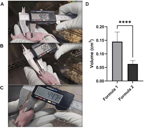 Video Subcutaneous Injection Of Human Colorectal Cancer Cells In Athymic Nude Mice To Evaluate