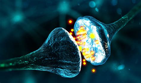 How to ‘Film’ Firing Neurons | Inside Science