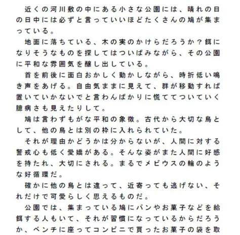 河川敷の鳩に給餌 ほのぼのとした日常の1コマ サマールンルン Fanza同人