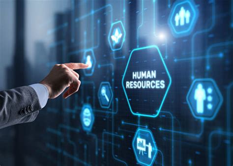 HR Executive Role Explained: What Every Beginner Should Know