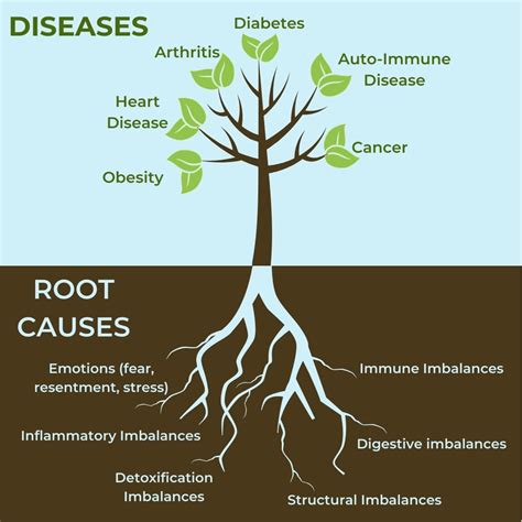 What Is Functional Medicine Langford And Karls Chiropractic Clinic