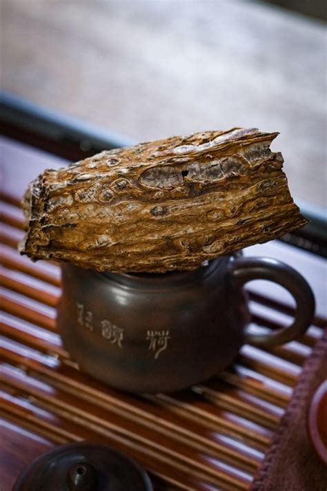 Шу Пуэр в кугуа | Puer Shu in kugua | Desserts, Food, Brownie