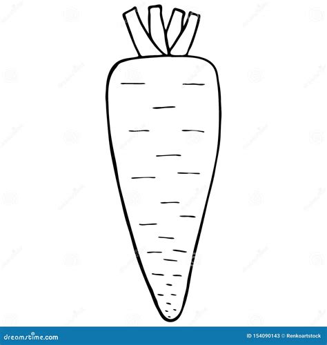 Carrot. Line Drawing Of A Carrot. Vector Illustration | CartoonDealer ...