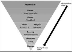 Upcycling, the high road of research and innovation - FoodTimes