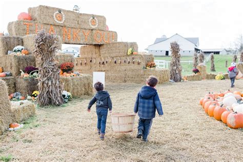 Visiting The Farm at Walnut Creek in Ohio Amish Country - Wear Love Wanders