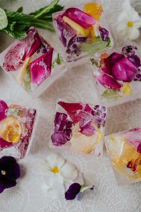 do cut flowers like ice water 3
