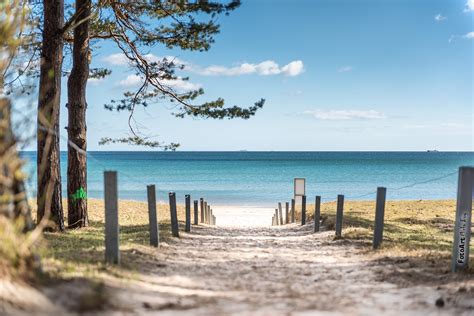 Bild Nr 1626 Binz Strandweg Rügenfotos de