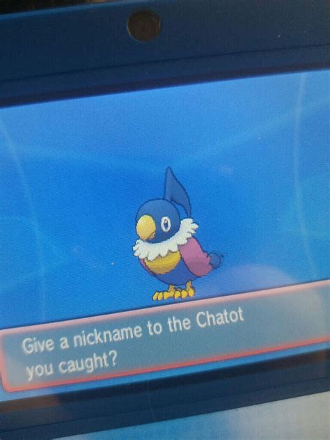 [6] SHINY CHATOT 💙 276 encounters! : r/ShinyPokemon