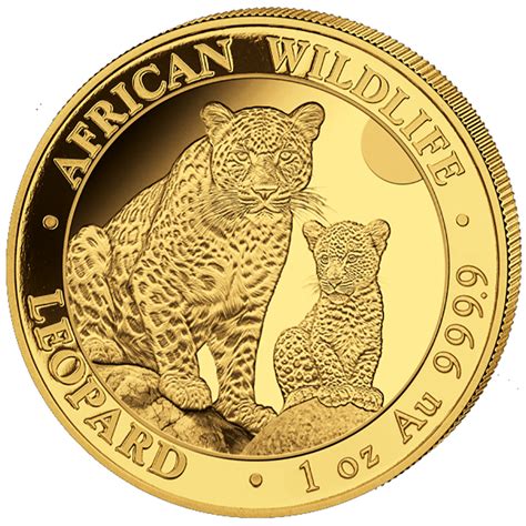 1 Unze oz Gold Somalia Leopard Goldmünze 2024