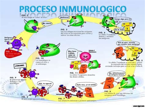 Sistema InmunolÓgico Mind Map