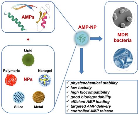 Antibiotics Free Full Text Antimicrobial Peptides Against Bacterial