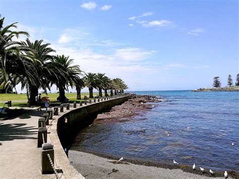 Kiama Harbour stock image. Image of seagulls, view, kiama - 108511929