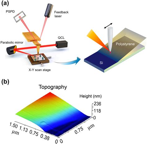 Coupled Harmonic Oscillators Model With Two Connected Point Masses For